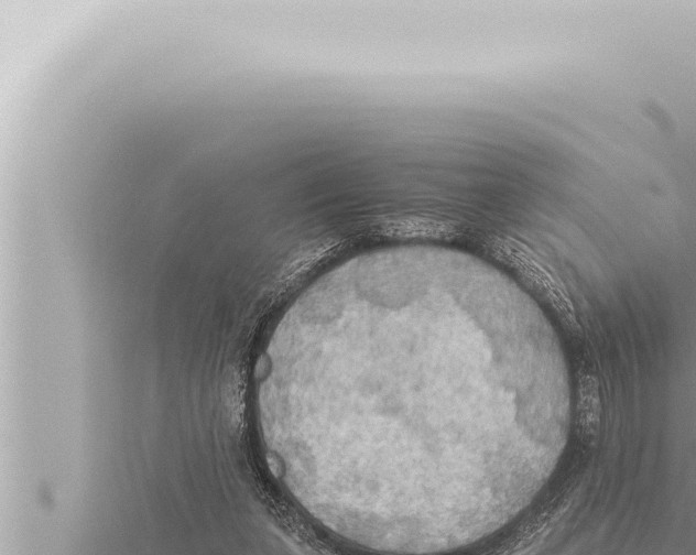 X0000115410255200912011231