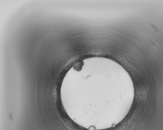 X0000115410256200912011231