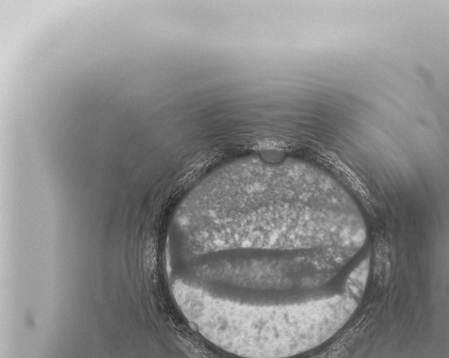 X0000115410257200912011231