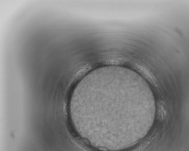 X0000115410258200912011231