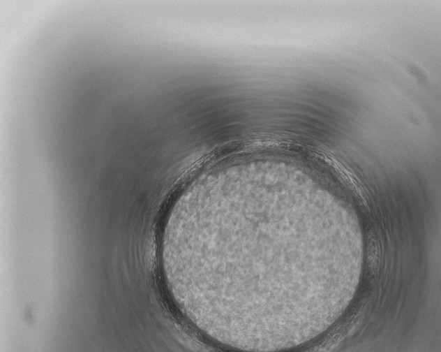 X0000115410261200912011231