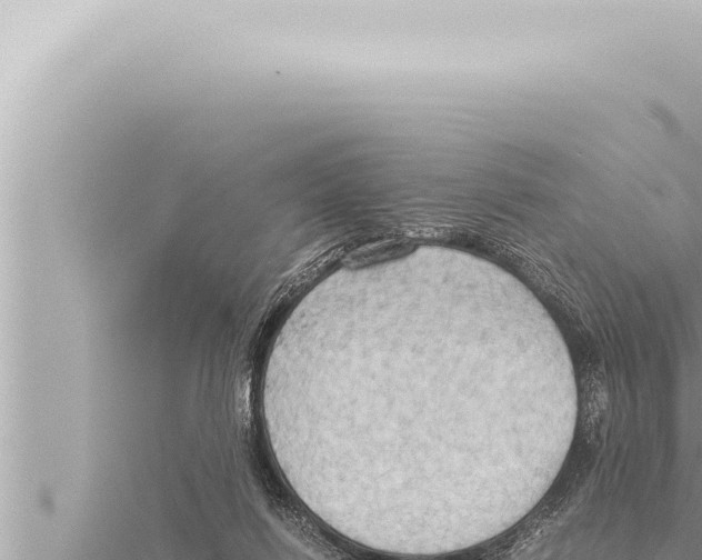 X0000115410262200912011231