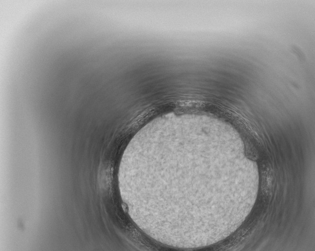 X0000115410263200912011231