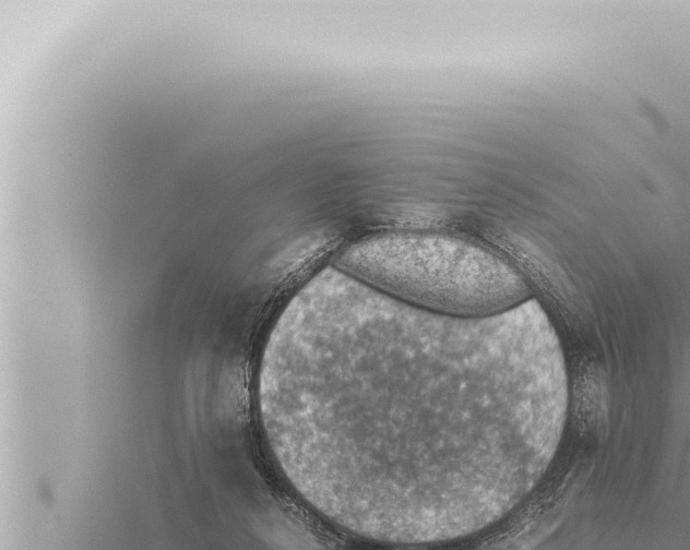 X0000115410264200912011231