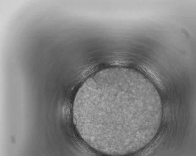 X0000115410265200912011231