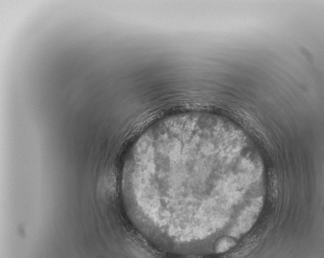 X0000115410266200912011231