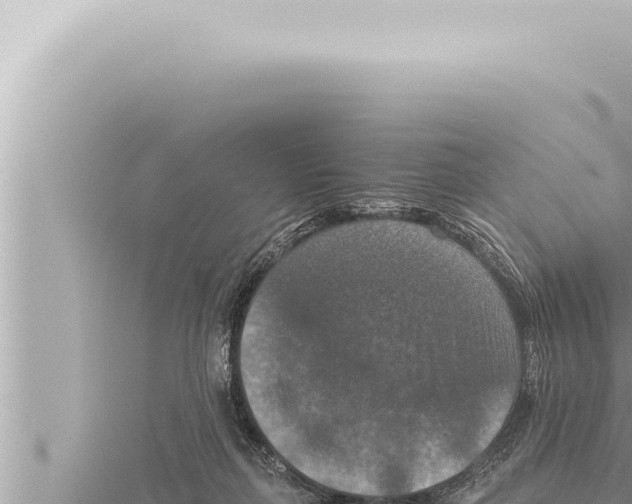 X0000115410267200912011231