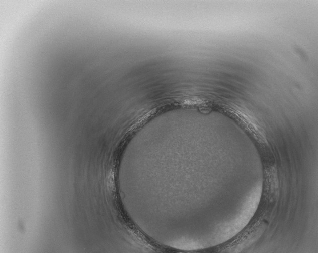 X0000115410269200912011231