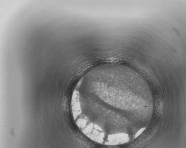 X0000115410270200912011231