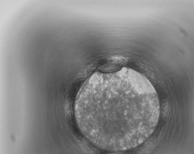 X0000115410272200912011231