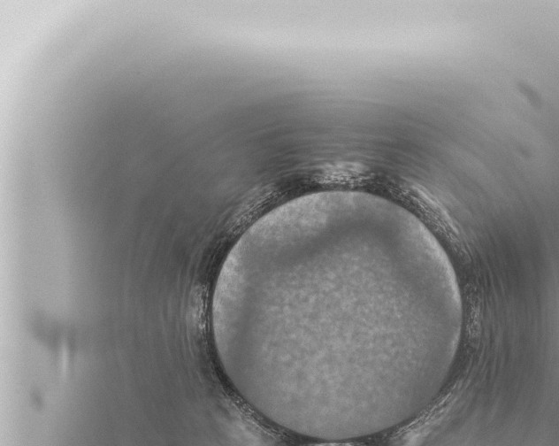 X0000115410273200912011231