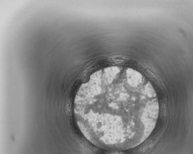 X0000115410274200912011231