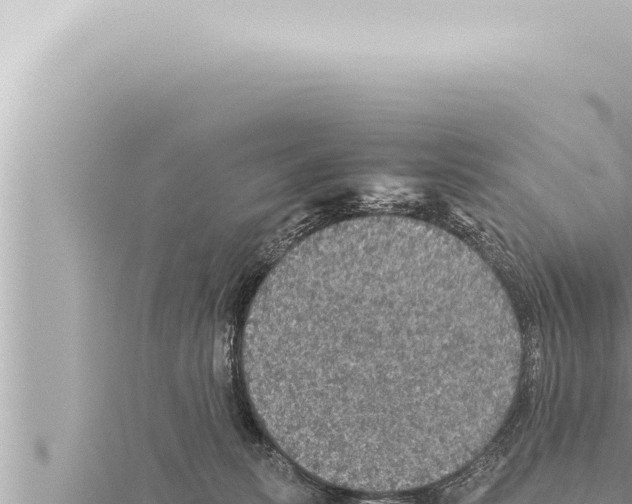 X0000115410275200912011231