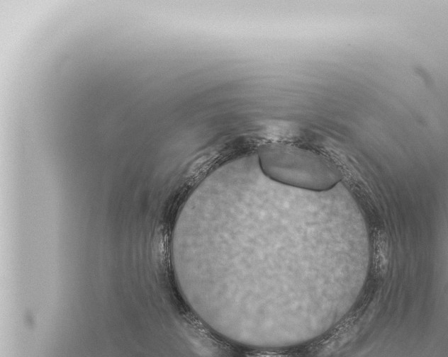 X0000115410276200912011231