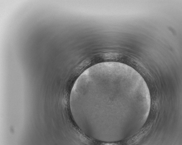 X0000115410277200912011231