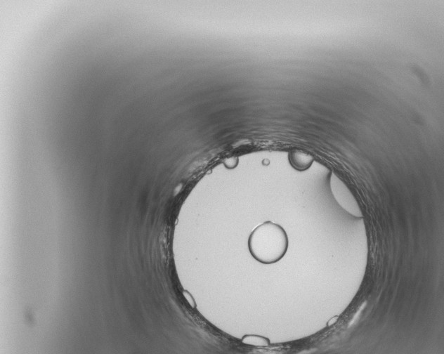 X0000115410280200912011231