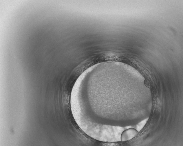 X0000115410281200912011231