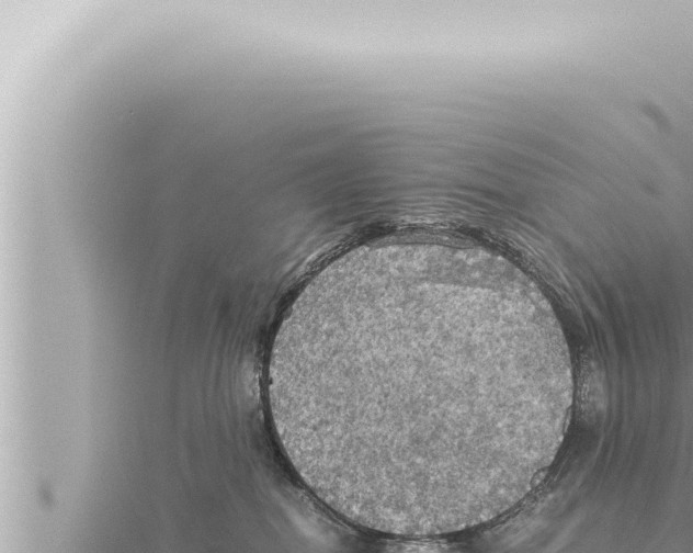 X0000115410282200912011231