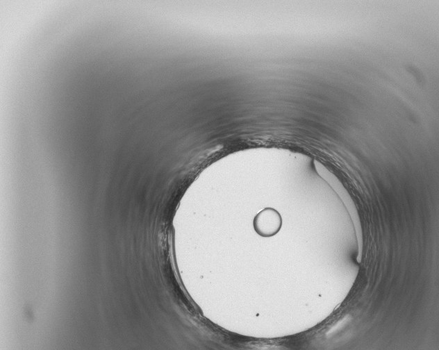 X0000115410284200912011231