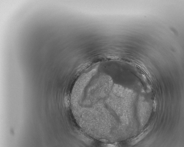 X0000115410285200912011232