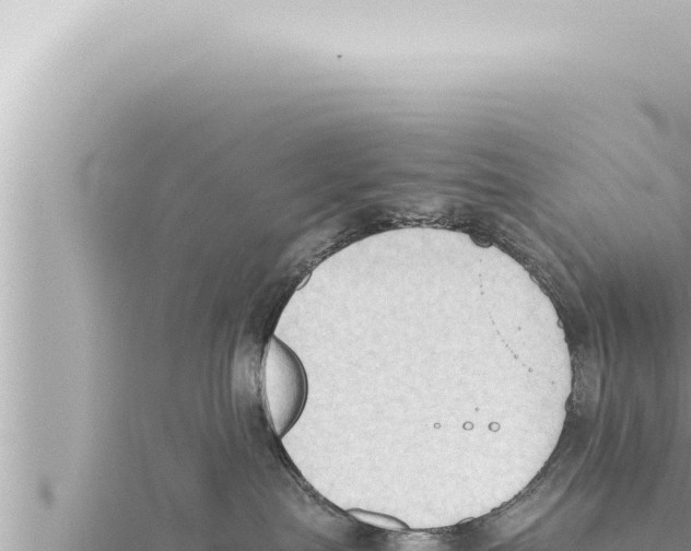 X0000115410287200912011232