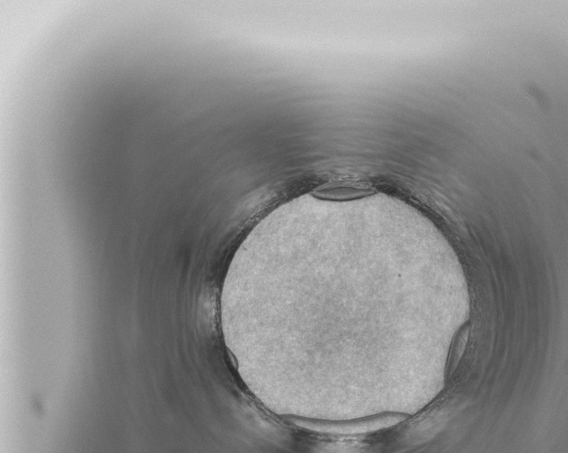 X0000115410288200912011232