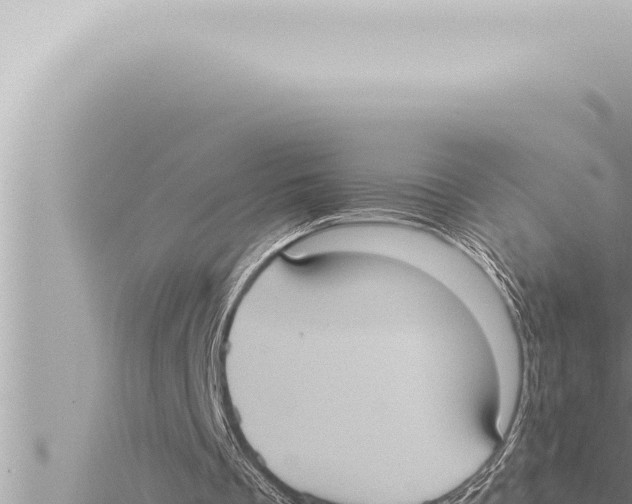 X0000115410289200912011231