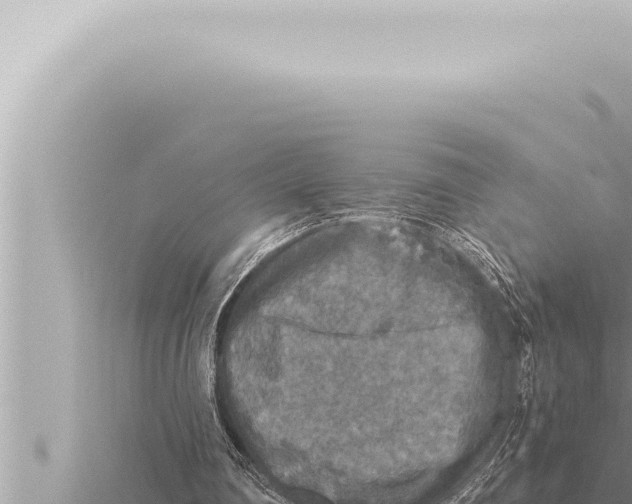 X0000115410290200912011231