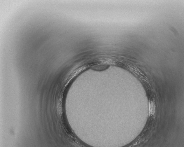 X0000115410291200912011231