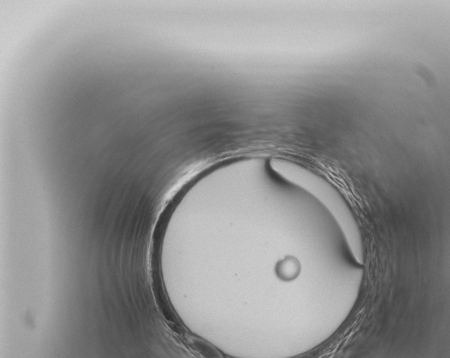 X0000115410292200912011231