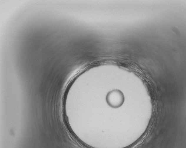 X0000115410293200912011231