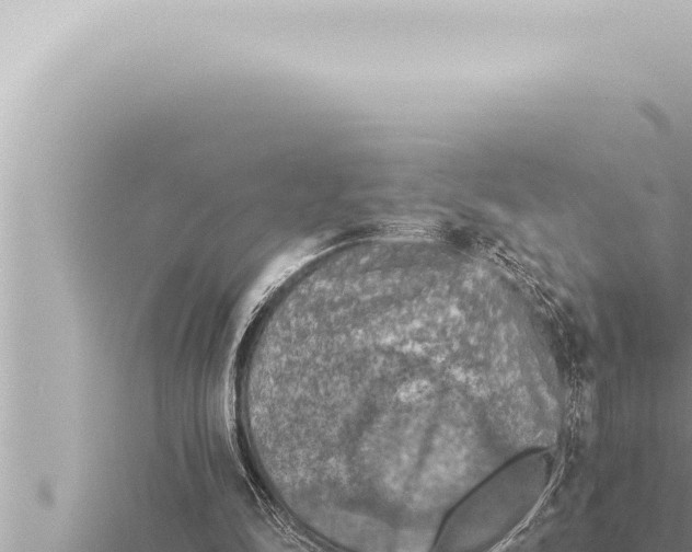 X0000115410294200912011231