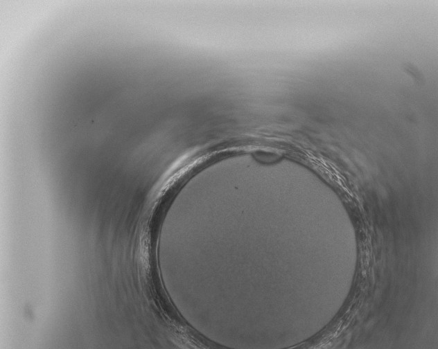 X0000115410295200912011231