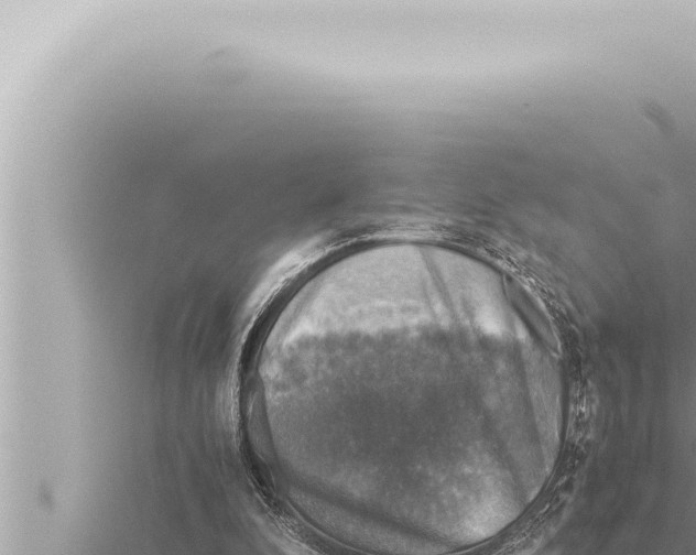 X0000115410296200912011231