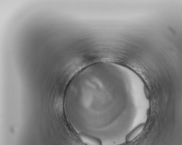 X0000115410297200912011231