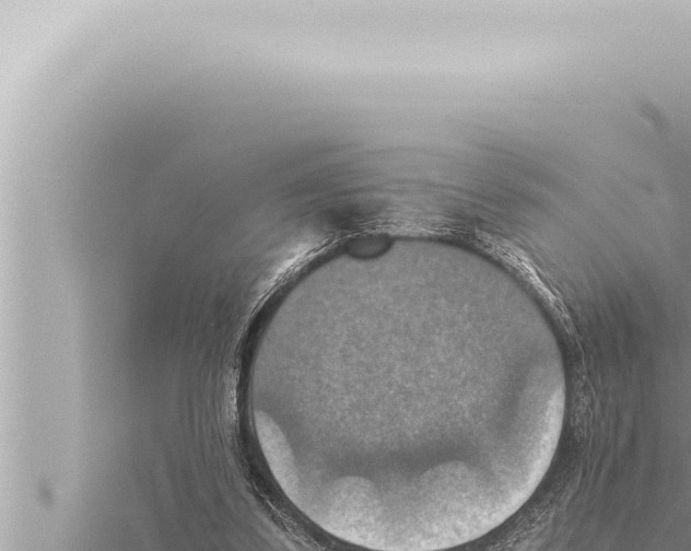 X0000115410299200912011231