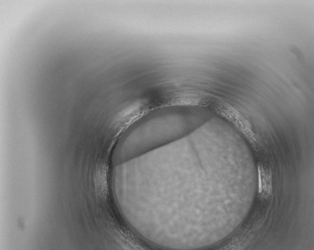 X0000115410300200912011231