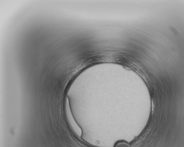 X0000115410301200912011231