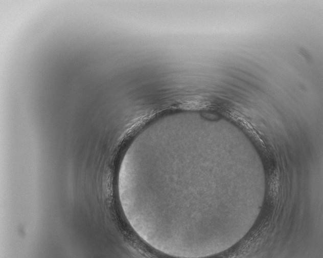 X0000115410303200912011231