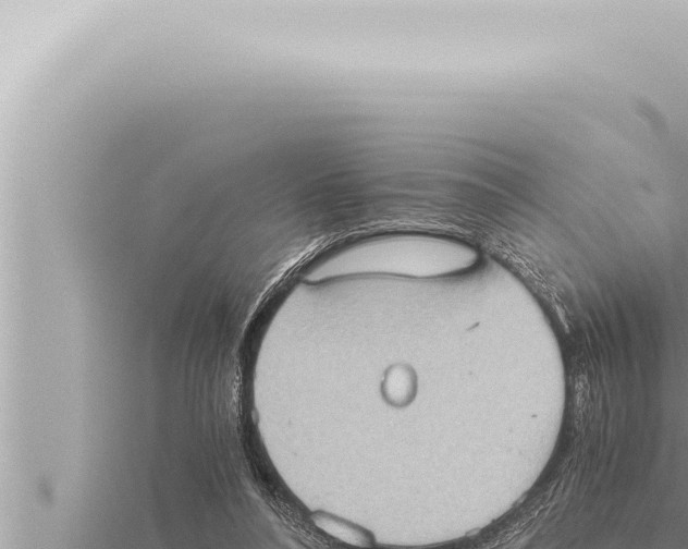 X0000115410304200912011231