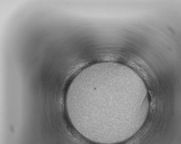 X0000115410306200912011231