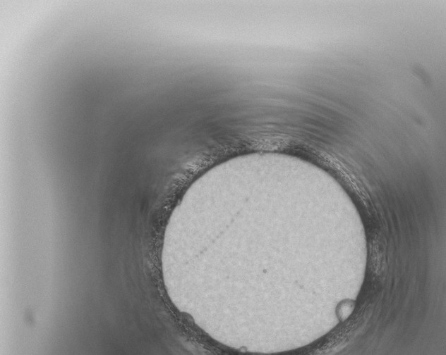 X0000115410307200912011231