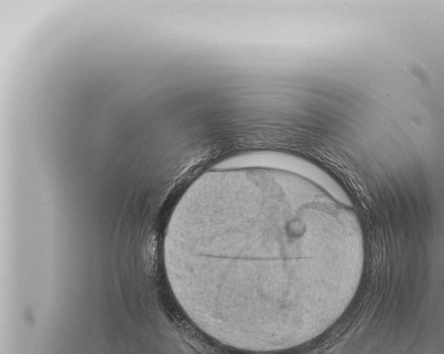 X0000115410308200912011231