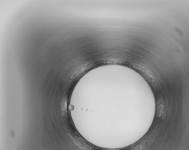 X0000115410310200912011231