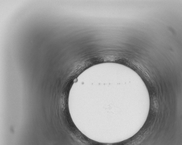 X0000115410311200912011231