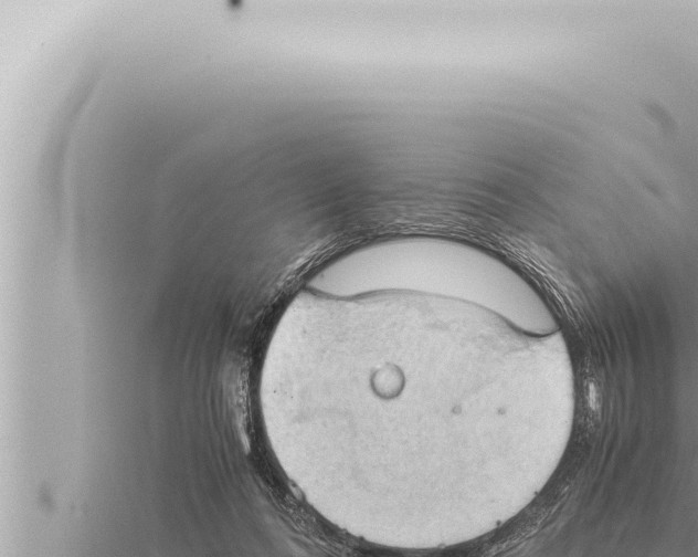 X0000115410312200912011231