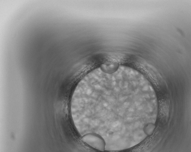 X0000115410313200912011231