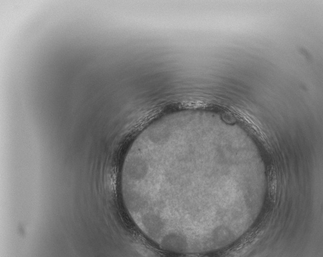 X0000115410315200912011231