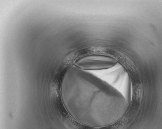 X0000115410316200912011231