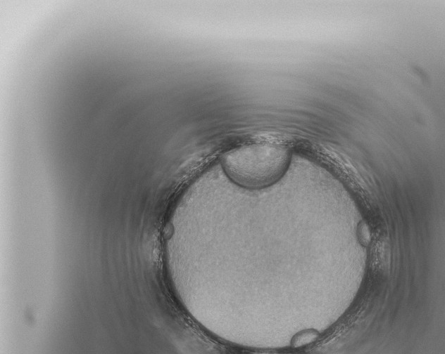 X0000115410317200912011231